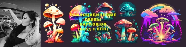 кокаин Богданович
