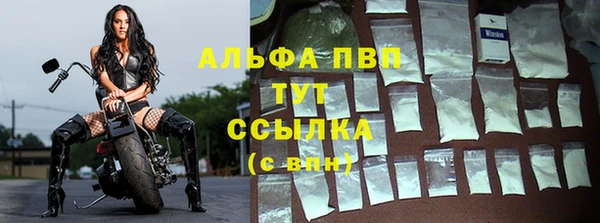 стаф Белокуриха